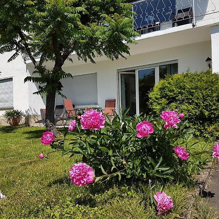 Rauszeit-Toroni Daire Niedenstein Dış mekan fotoğraf