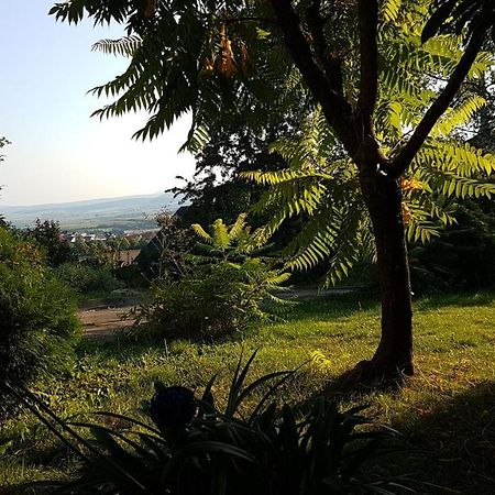 Rauszeit-Toroni Daire Niedenstein Dış mekan fotoğraf