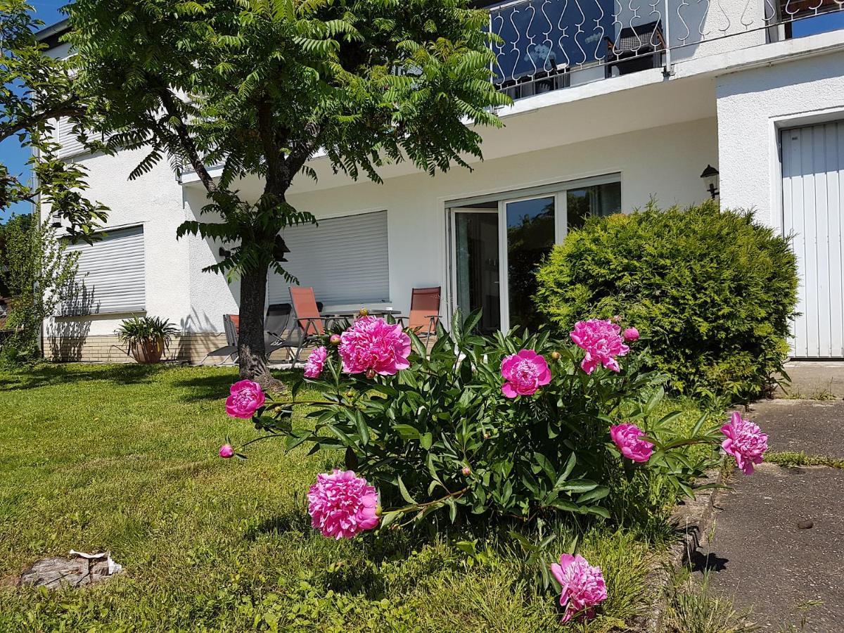 Rauszeit-Toroni Daire Niedenstein Dış mekan fotoğraf